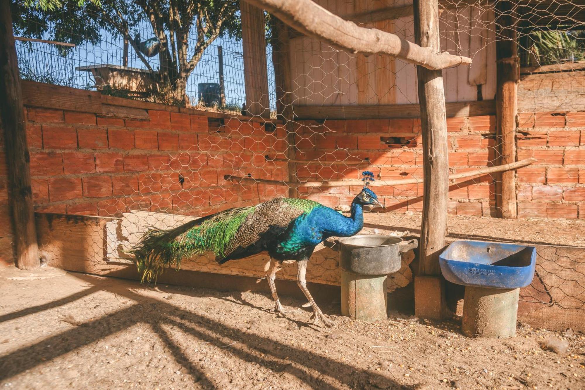 Hotel Fazenda Reviver Araçoiaba da Serra Extérieur photo